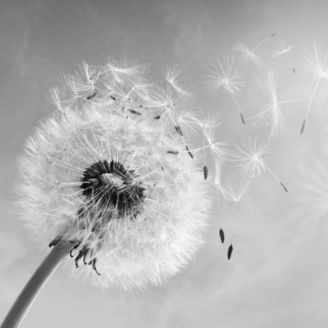 Interventions de coach à Montpellier